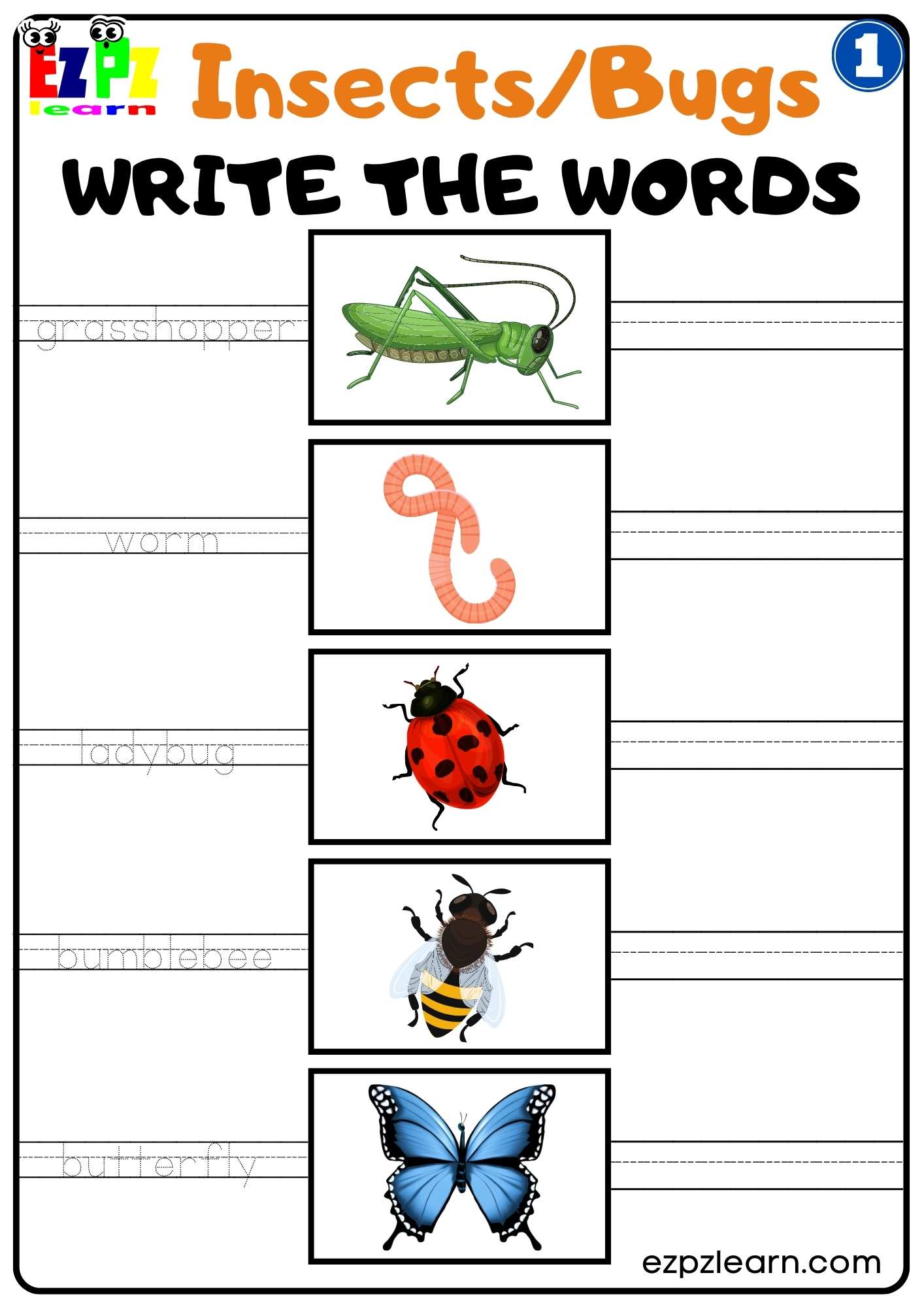 Group 1 Insects and Bugs Write the Words Worksheet Free PDF Download For Teachers and Parents